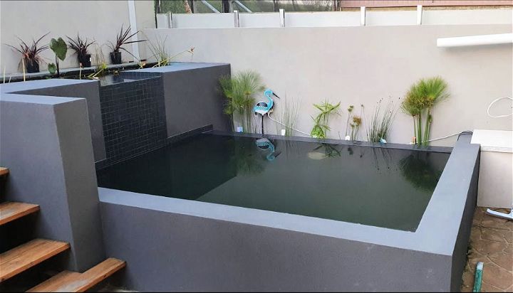 Natural Swimming Pool Design