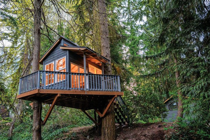 Adorable Treehouse Idea to Build