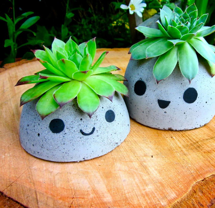 Concrete Planter Craft for Teens