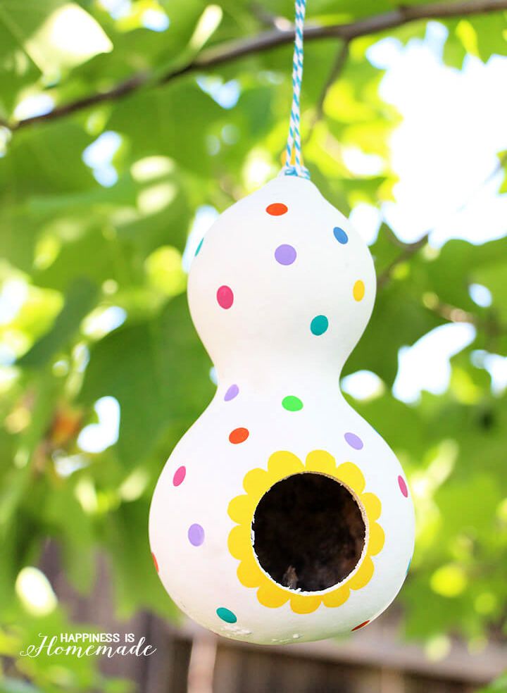 Polka Dot Gourd Birdhouse Project