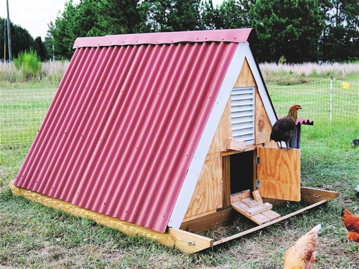 Build an A Frame Chicken Coop