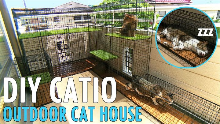 Building a Catio on a Budget