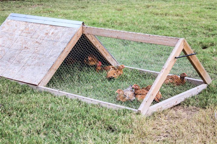 Building a Small Chicken Tractor