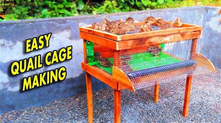 Cheap DIY Quail Cage Using Wood and Iron Net