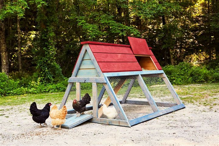 DIY Backyard A Frame Chicken Coop