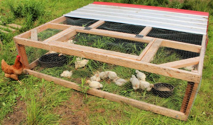 DIY Chicken Tractor for 20 Chickens