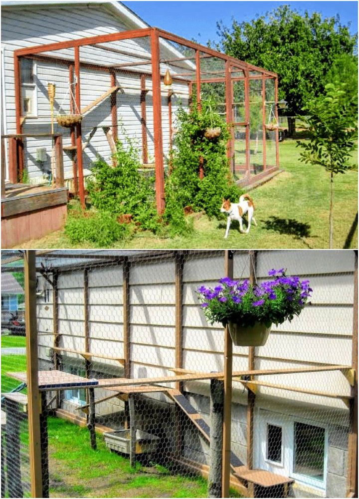 DIY Large Backyard Cat Enclosure