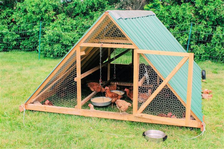 Mobile DIY A-Frame Chicken Tractor