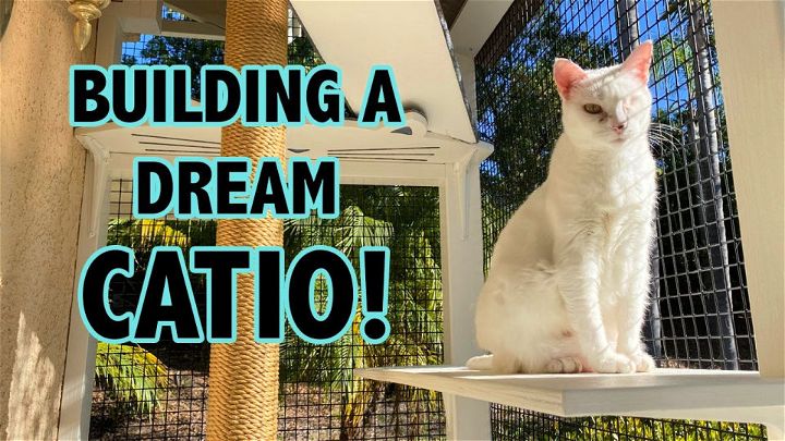 How to Build a Catio for Cats