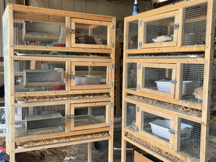 How to Build a Quail Cage