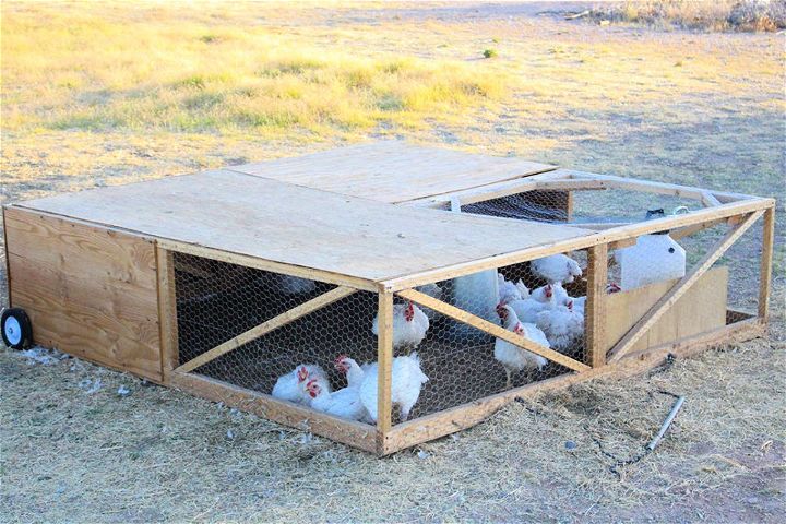 How to Make Chicken Tractor for 25 Chickens