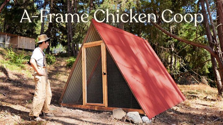 Make Your Own A Frame Chicken Coop