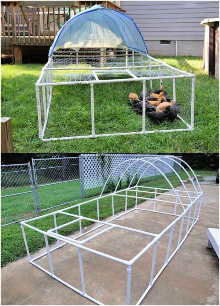 Moveable Chicken Tractor From PVC Pipe