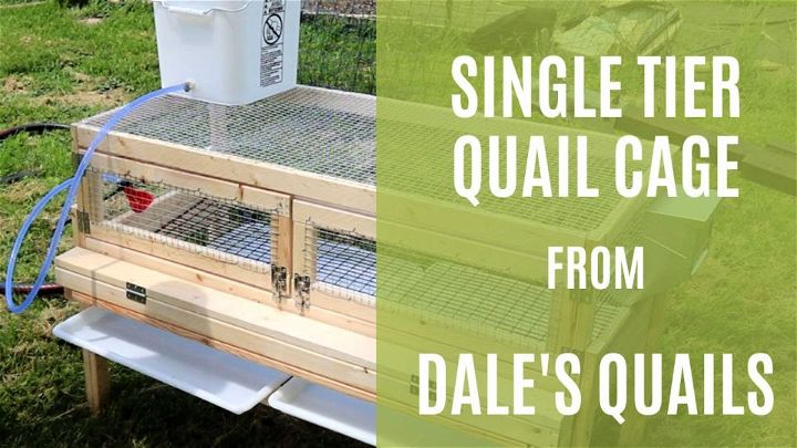 Single Tier Quail Cage From Dales Quails