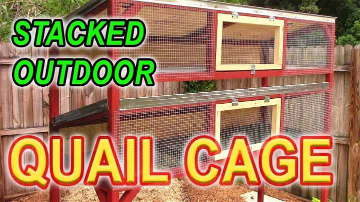 Stacked Coturnix Quail Cage Ideas