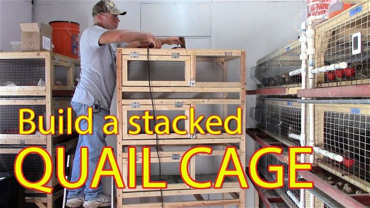 Free Stacked Quail Cage Plan