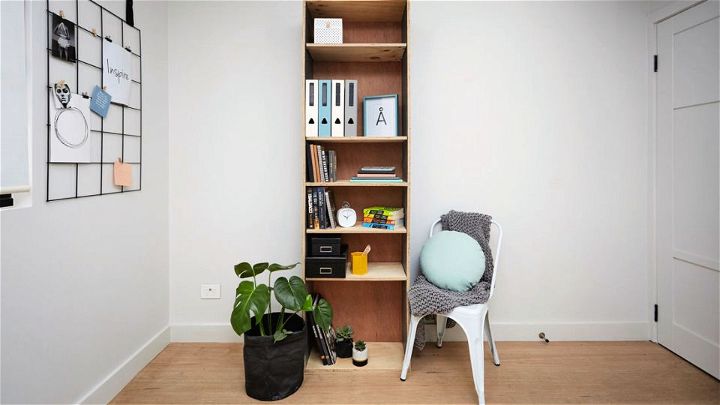 Build Your Own Plywood Bookcase