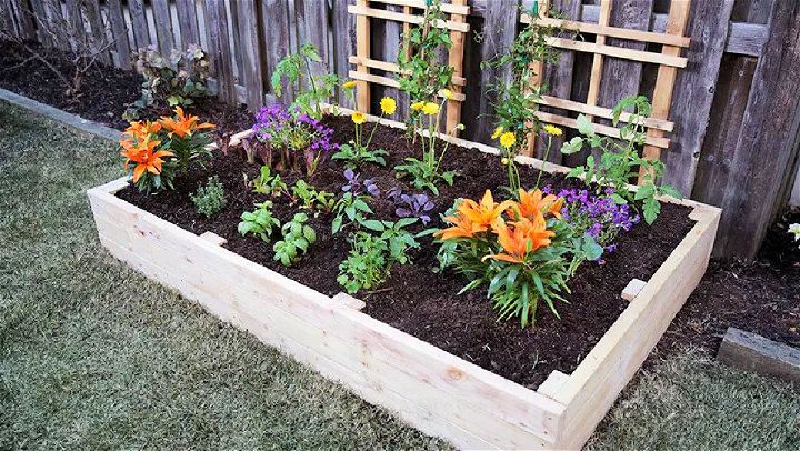 Build Your Own Raised Garden Bed for Vegetables 