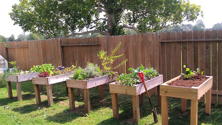 Build Your Own Raised Garden Boxes