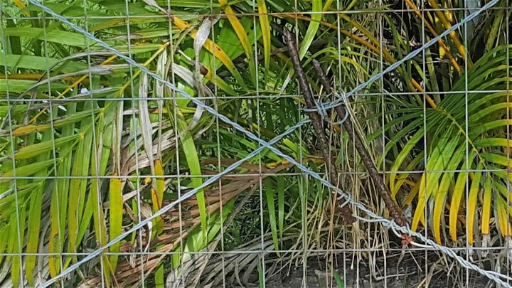 DIY Long Lasting Welded Wire Farm Fence
