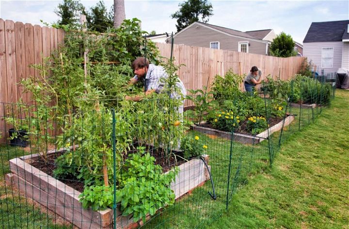 DIY Lay Vegetable Garden Idea