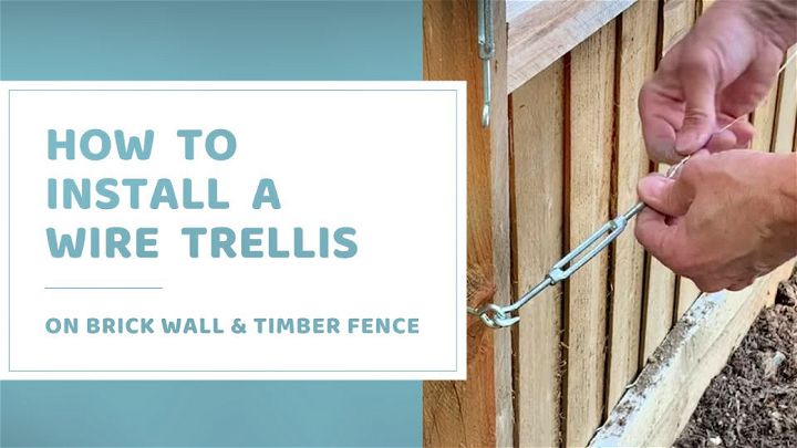 Wire Trellis Installation for Climbing Plants