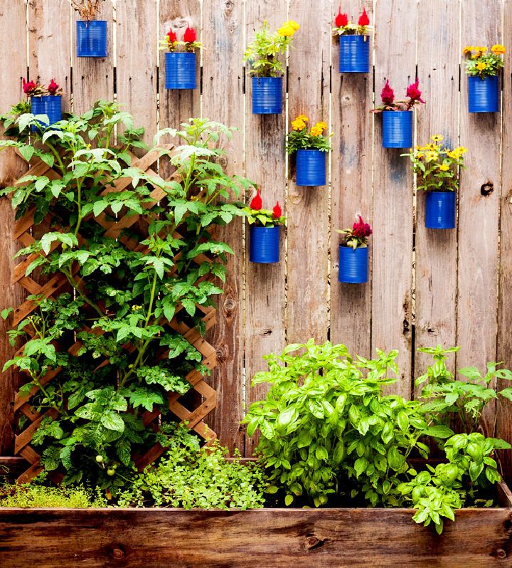Easy DIY Backyard Tin Can Fence Garden