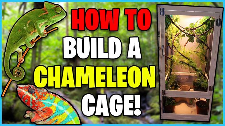Easy DIY Chameleon Cage