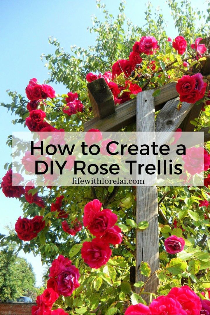 How to Make a Rose Trellis at Home