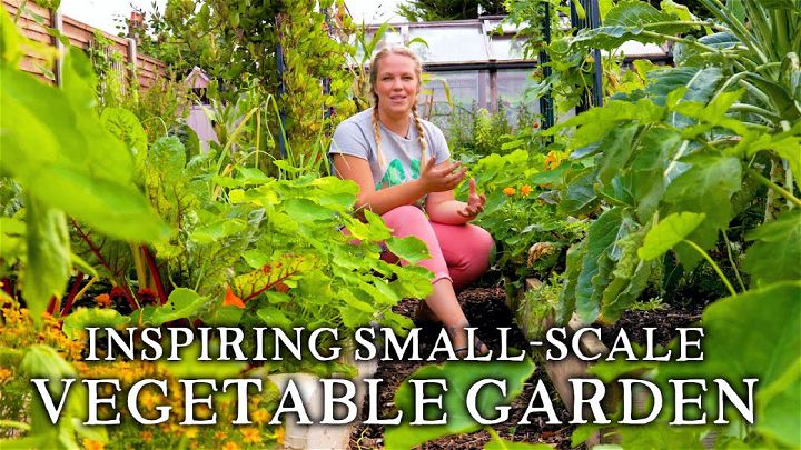 Homemade Massively Productive Small scale Suburban Vegetable Garden