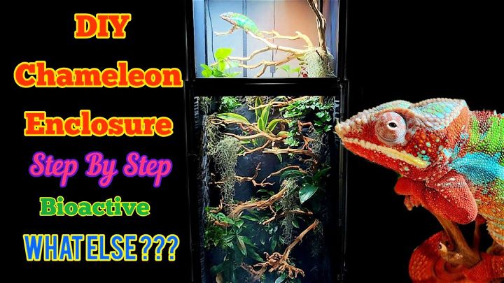 How to Build Hybrid Reptile Cage Step by Step