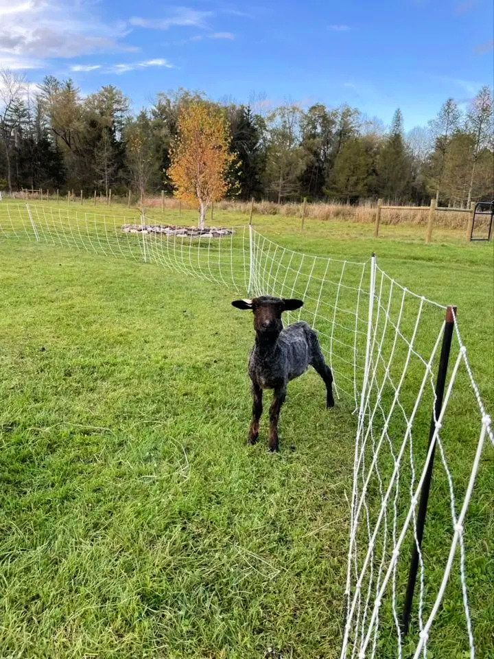 How to Build Your Own Woven Wire Fence