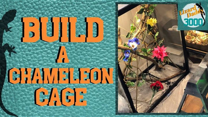 How to Build a Chameleon Cage