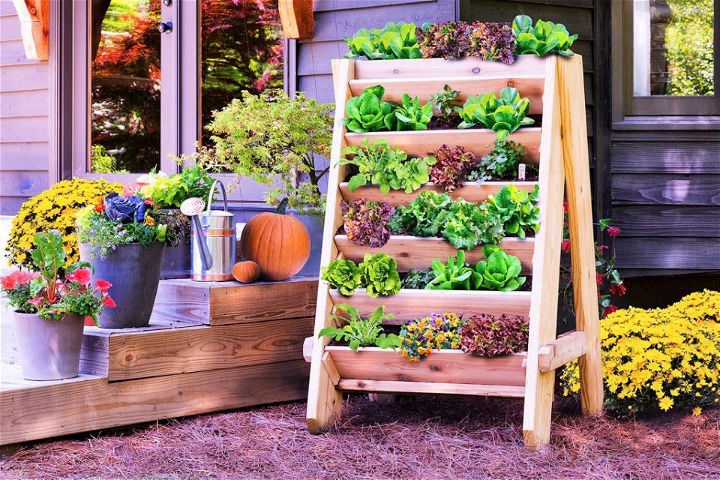 How to Build a Vertical Herb Garden