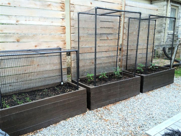 How to Make Vegetable Garden Cage