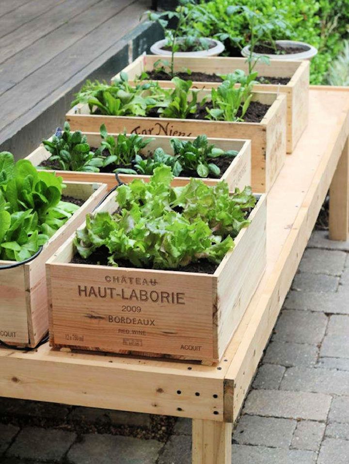 How to Make Your Own Small Space Vegetable Garden