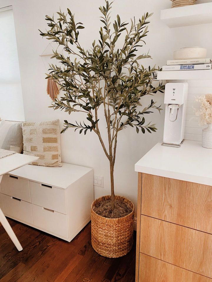 How to Make a Faux Olive Tree for Living Room