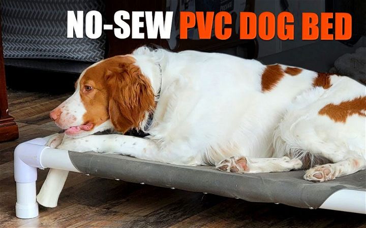 No Sewing Elevated Dog Bed From Pvc Pipes