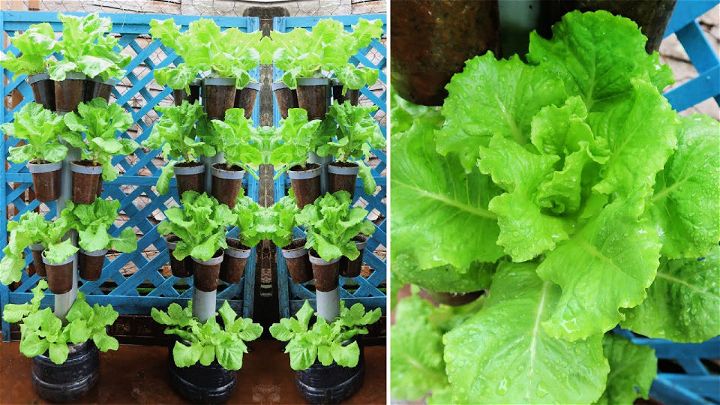 Simple DIY Vertical Garden Growing Vegetables at Home