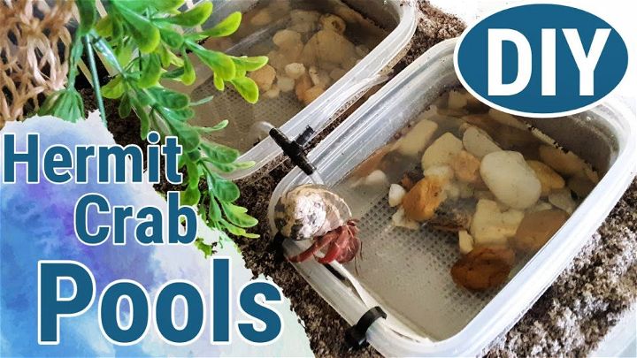 $20 DIY Hermit Crab Pools Tutorial