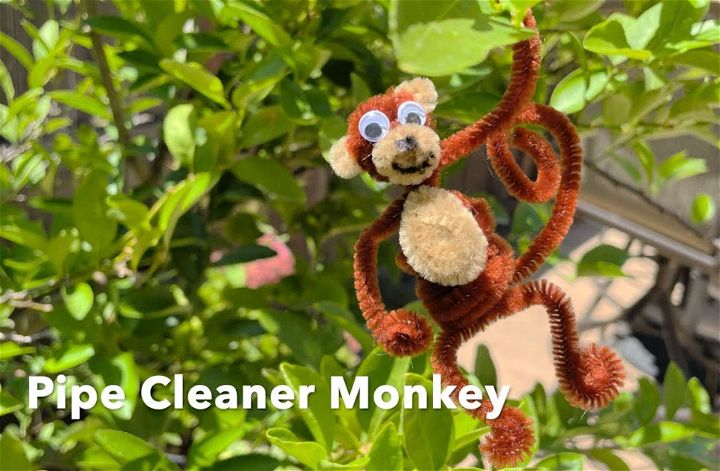 Amazing Pipe Cleaner Monkey Craft