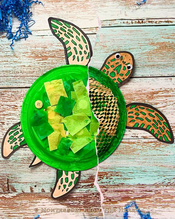 Awesome DIY Paper Plate Turtle