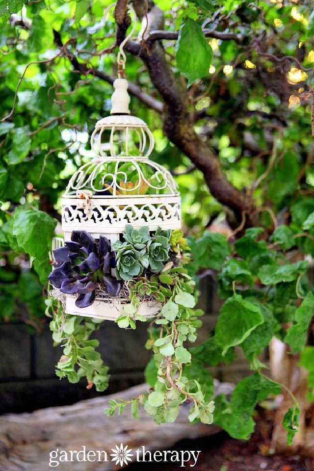 DIY Birdcage Succulent Planter