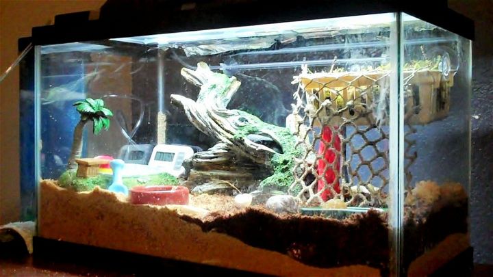 DIY Hermit Crab Habitat