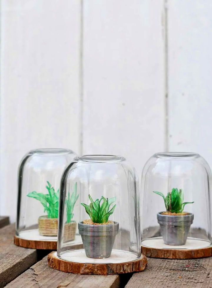 DIY Plastic Bottle Faux Succulents Terrarium