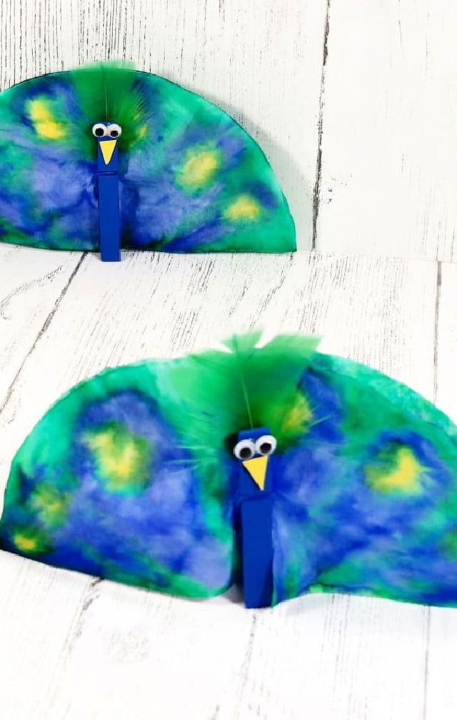 Easy Coffee Filter Peacock Craft