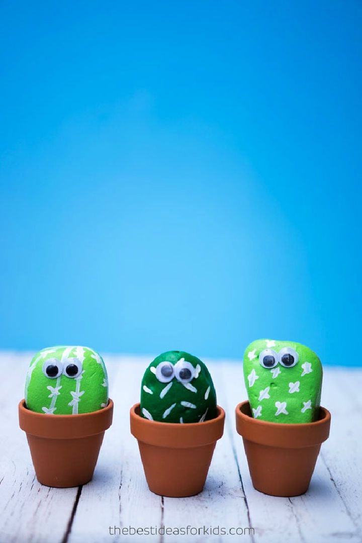 How to Make Pet Cactus Rocks