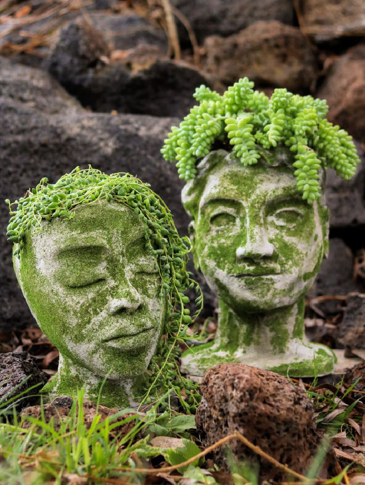 Handmade Head Planters From Concrete