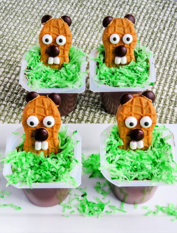 Happy Groundhog Day Pudding Cups Crafts and Activities