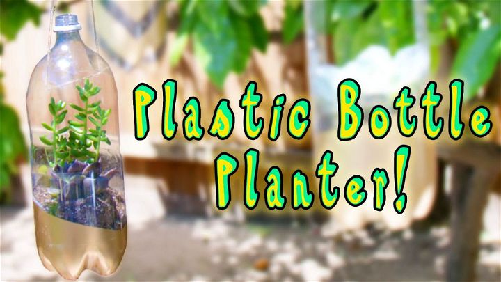 Homemade Plastic Bottle Planters